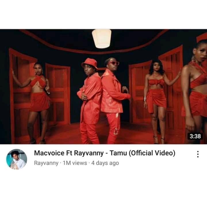 macvoive Ft Rayvanny - tamu