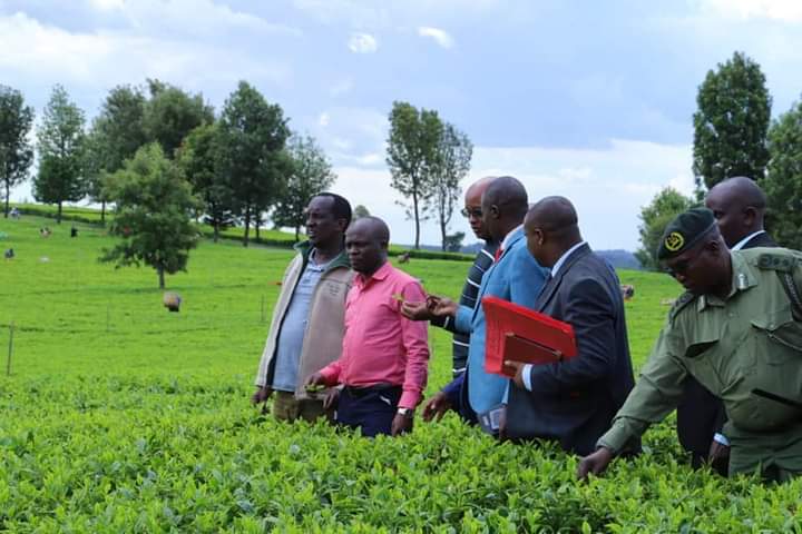 Narok Governor Patrick Ole Ntutu Promise To Uplift Ilpolnton Tea Farm